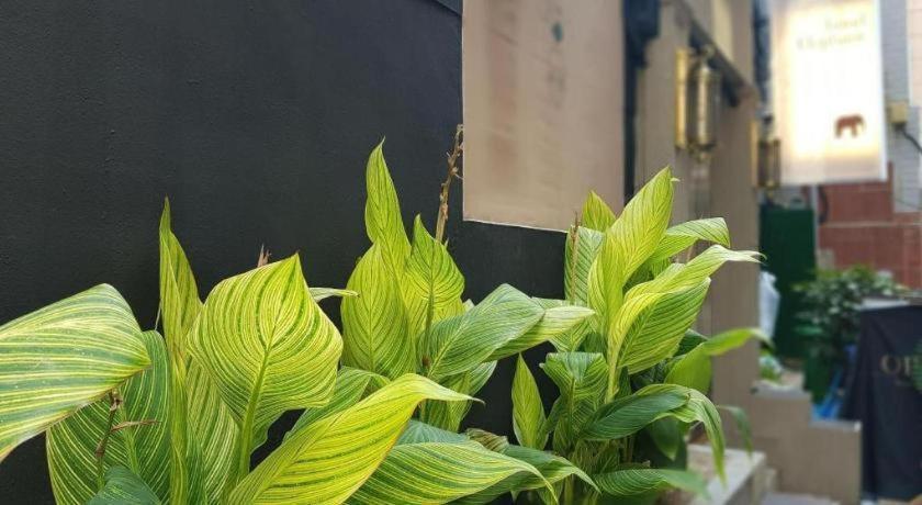 Hotel Elephant Busan Dış mekan fotoğraf